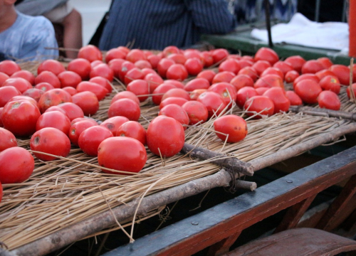 Okusi tradicije: Ne propustite Feštu od šaše i pulente!