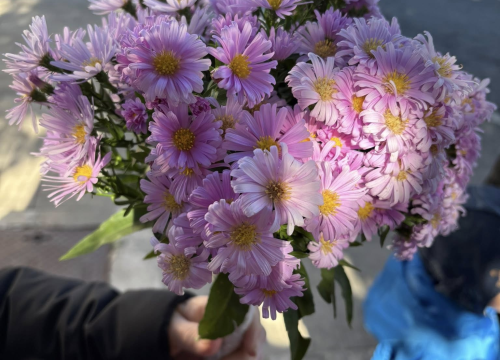Fotografija 2 - Obilježen Dan ružičaste vrpce u Drnišu