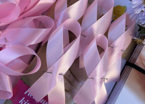 Fotografija 5 - Obilježen Dan ružičaste vrpce u Drnišu