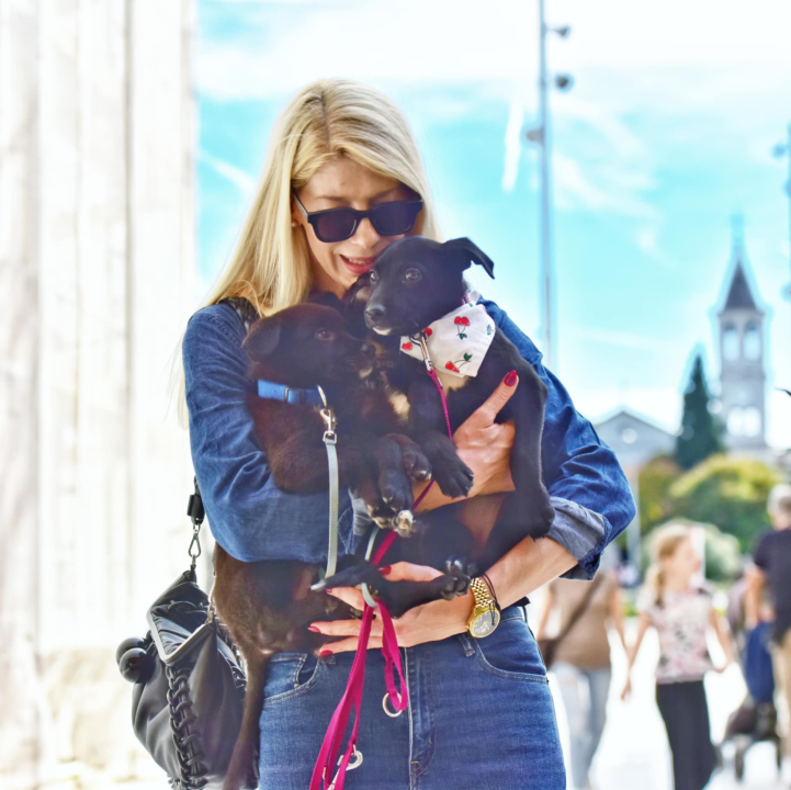 Đir po gradu, subota 11. listopada