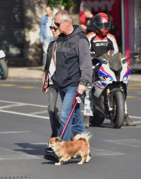 Đir po gradu, nedjelja 12. listopada