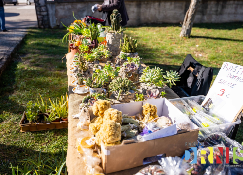 Fotografija 38 - Čuvarice tradicije i stup zajednice: U Pakovom Selu obilježen Svjetski dan seoskih žena
