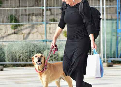 Fotografija 4 - Đir po gradu, srijeda 22. listopada