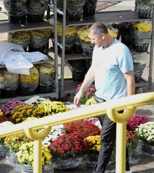 Đir po gradu, subota 25. listopada