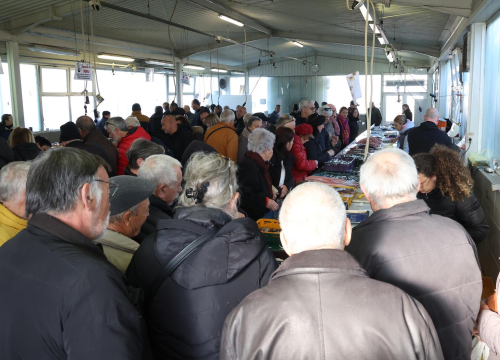 Fotografija 3 - Gotov lovostaj, srdele napunile peškariju: Sve rasprodano u rekordnom roku